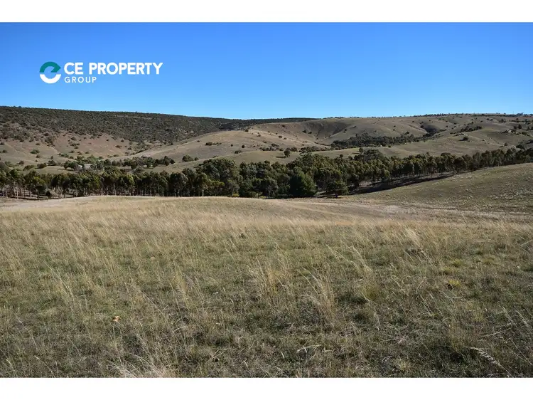 Main view of Homely rural property listing, LOT 104 Mine Road, Palmer SA 5237