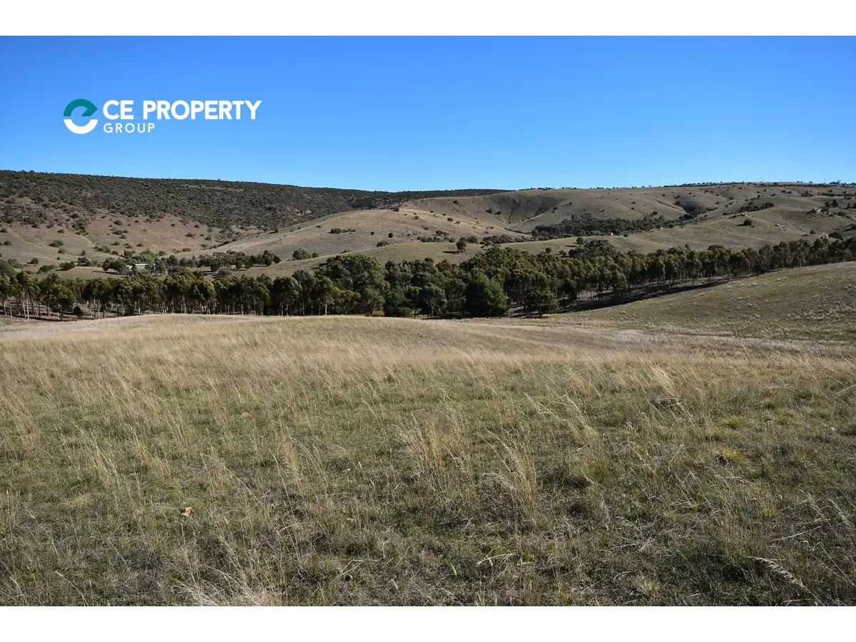 Main view of Homely rural property listing, LOT 104 Mine Road, Palmer SA 5237