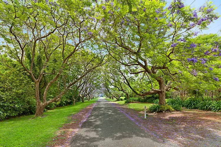 Second view of Homely house listing, 59 POWER Parade, Tamborine Mountain QLD 4272