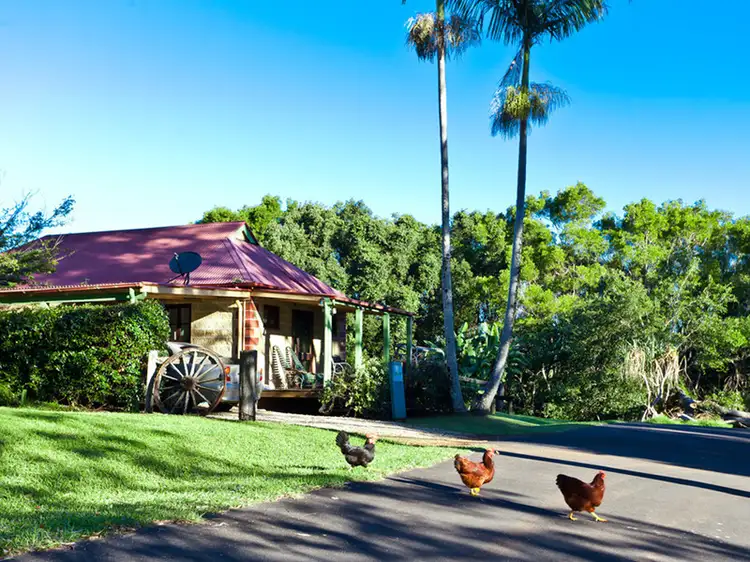 809 Coolamon Scenic Drive, Coorabell NSW 2479