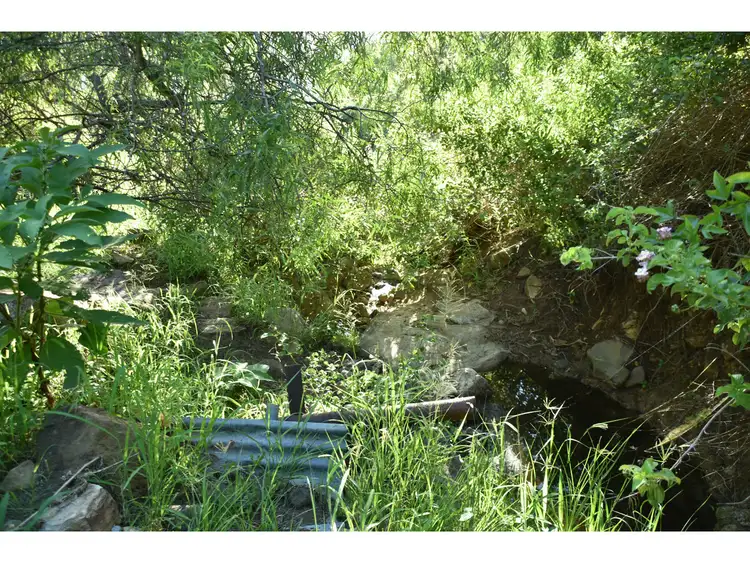 Third view of Homely rural property listing, 165 & Lot 298 Lefthand Branch Road, Lefthand Branch QLD 4343