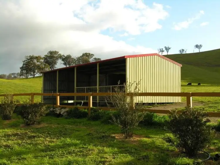 Fifth view of Homely house listing, 547 Dry Creek Road, Bonnie Doon VIC 3720