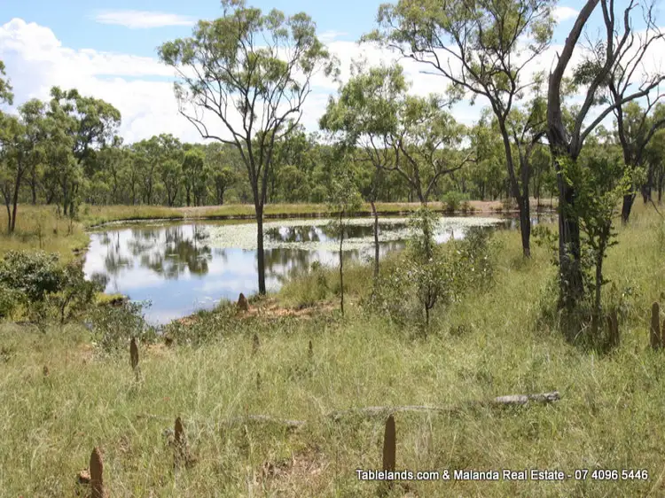 Second view of Homely rural property listing, S1023 708 Braund Road, Mutchilba QLD 4872