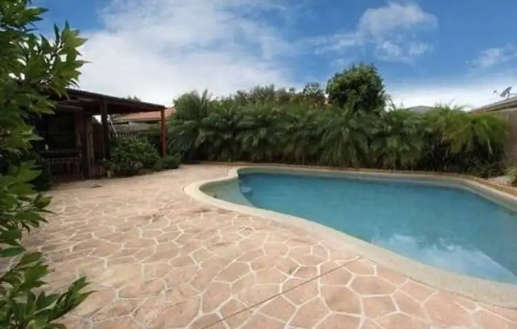 Fifth view of Homely rural property listing, 14 Gwalia Close, Medowie NSW 2318