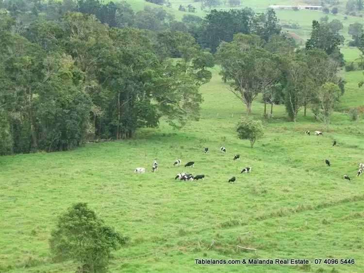 Fourth view of Homely rural property listing, F195/404 Old Palmerston Highway, Millaa Millaa QLD 4886