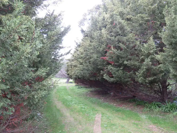 Sixth view of Homely land listing, 125 Youngs Lane, Heathcote VIC 3523