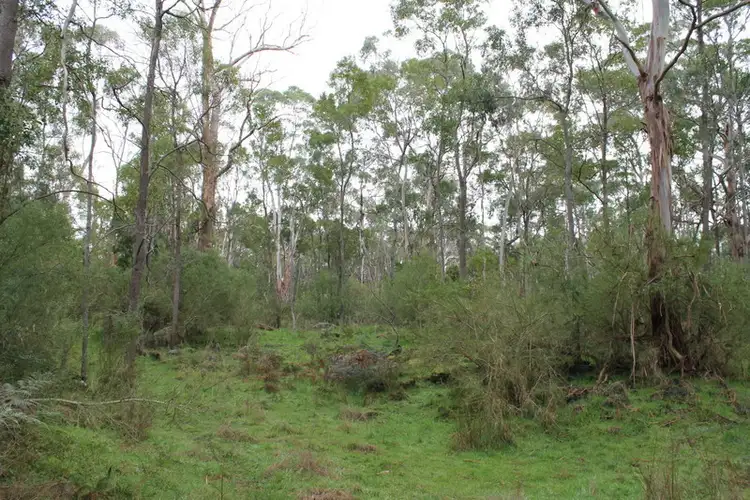 Fourth view of Homely rural property listing, 1635 Princes Highway, Pirron Yallock VIC 3249