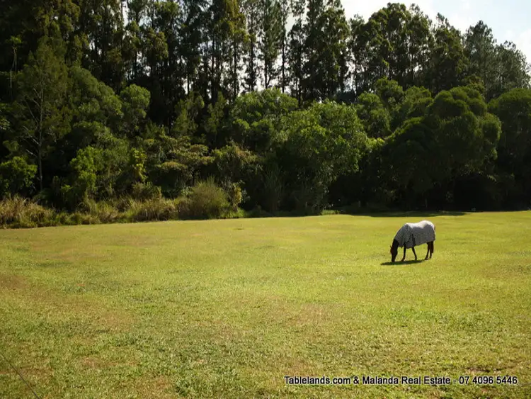 Sixth view of Homely land listing, LOT L668/Lot 31, 169 Lakes Drive, Lake Eacham QLD 4884