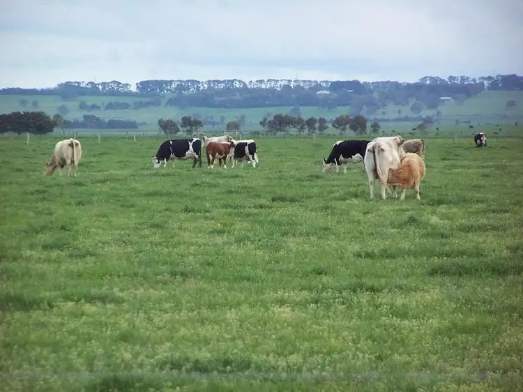 Third view of Homely rural property listing, Ramsay Road, Irrewarra VIC 3249