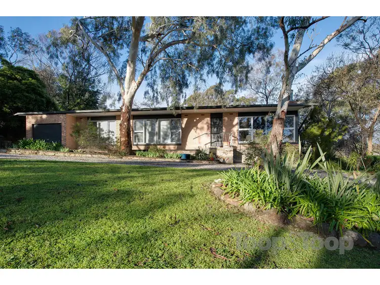 Second view of Homely house listing, 21 Lindsay Terrace, Belair SA 5052