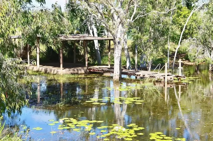 Third view of Homely rural property listing, 467 Emerald End Road, Mareeba QLD 4880