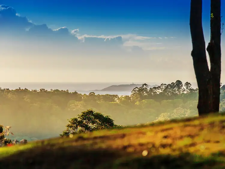 Second view of Homely house listing, 46 Beech Lane, Wilsons Creek NSW 2482