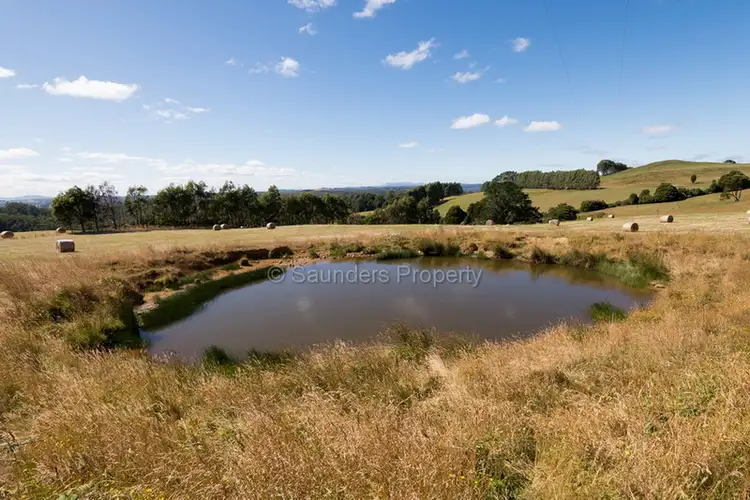 Fifth view of Homely rural property listing, 542 East Yolla Road, Yolla TAS 7325