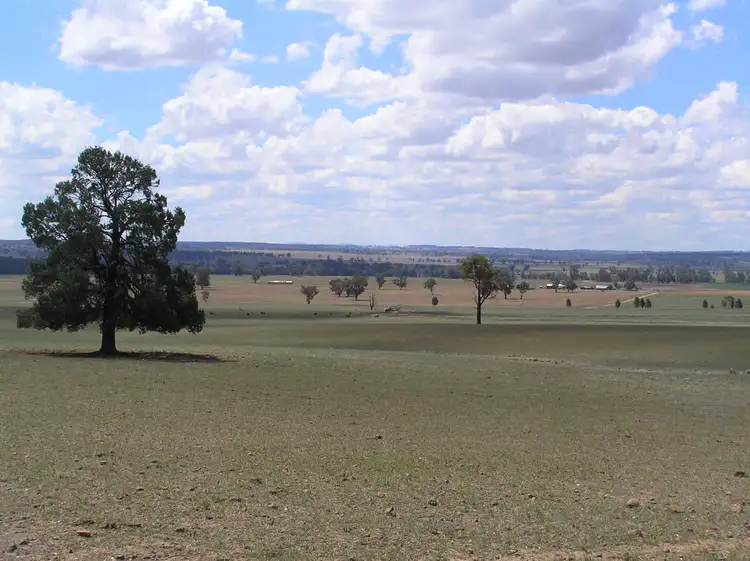 Seventh view of Homely rural property listing, Mount Beni 451 Merrygoen Road, Dunedoo NSW 2844