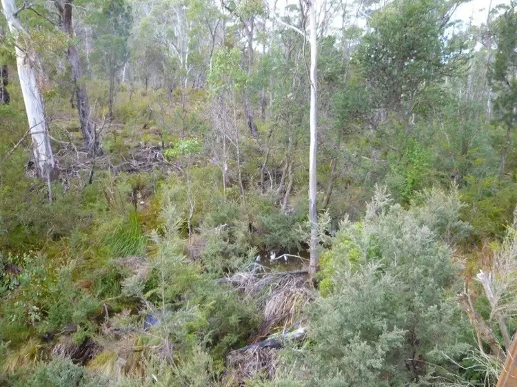 Sixth view of Homely land listing, LOT P123 Wielangta Road, Rheban TAS 7190