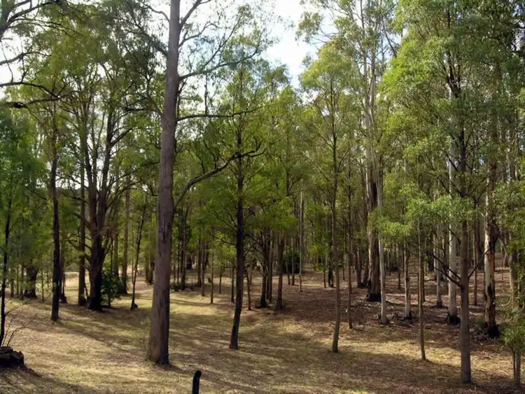 Seventh view of Homely house listing, 81 Facey Drive, Tolmie VIC 3723