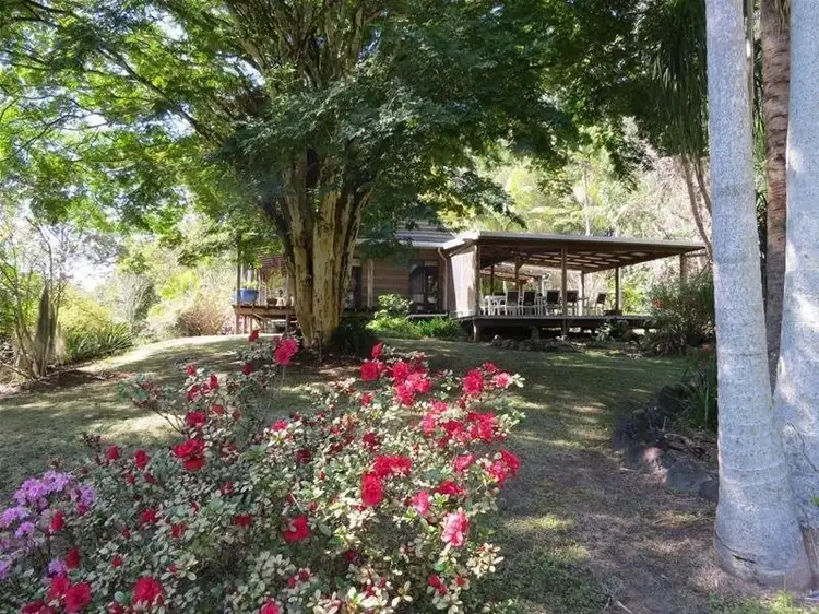 361 South Pumpenbil Road, Tyalgum NSW 2484