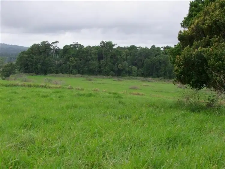 Seventh view of Homely rural property listing, F197/421 Barter Road, Millaa Millaa QLD 4886