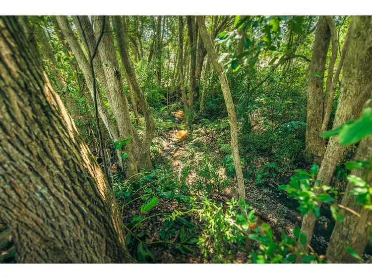 Sixth view of Homely land listing, No 8a Lot 2, 3 & 4 Endeavour Drive, Bellingen NSW 2454