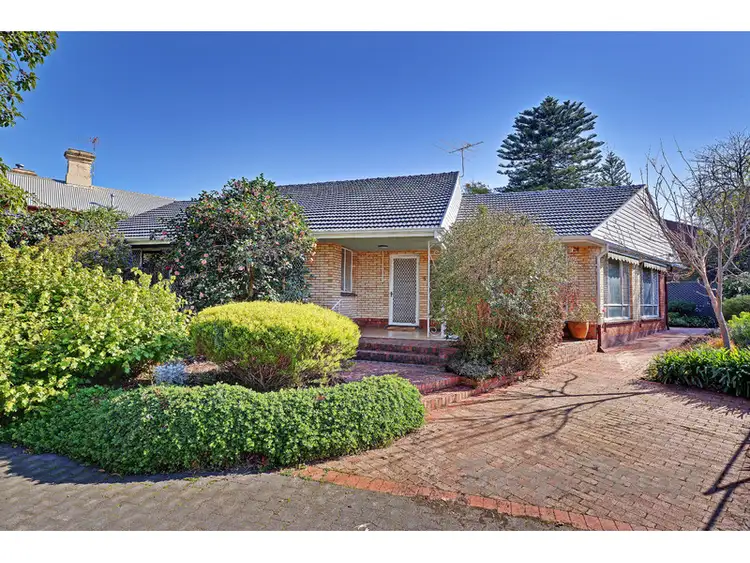 244 Young Street, Unley SA 5061