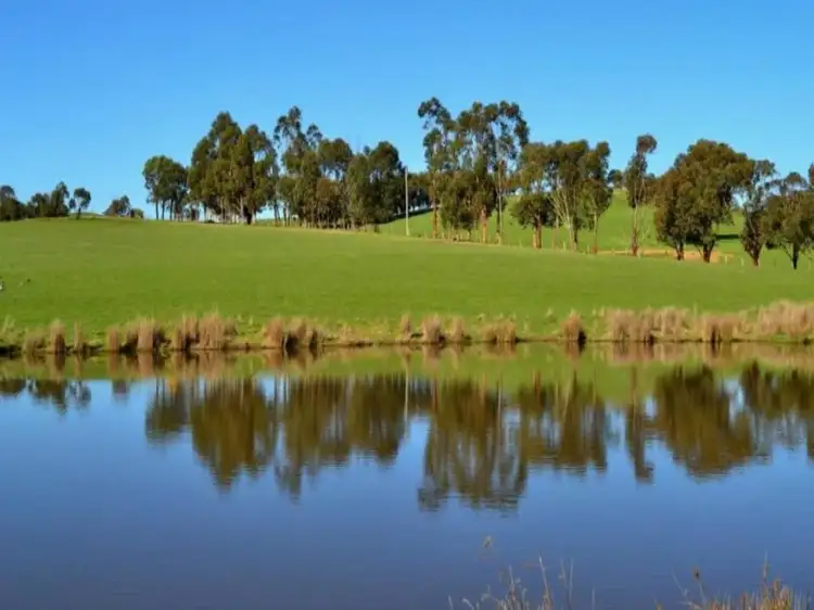 Fifth view of Homely rural property listing, 687 Monkey Gully Road, Mansfield VIC 3722