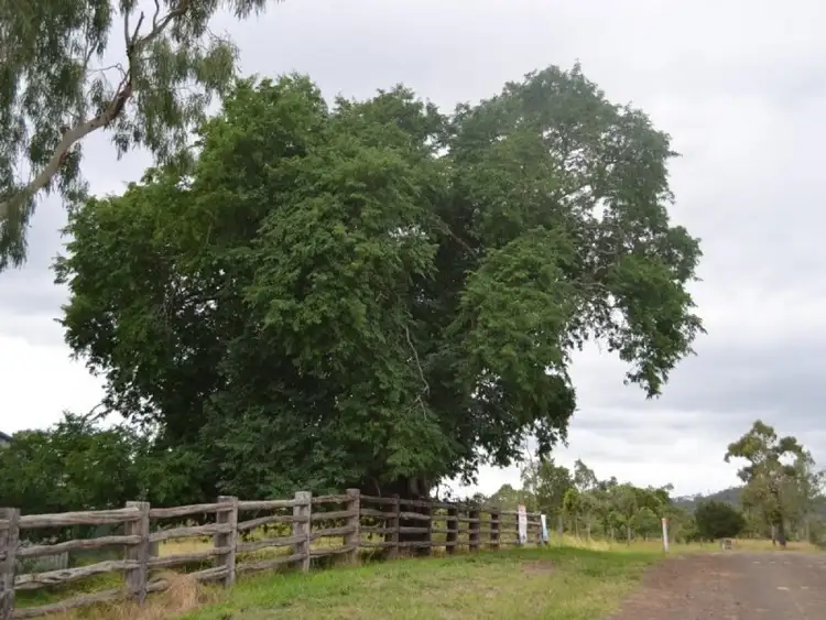 Main view of Homely rural property listing, 367 Benedict Road, Stanwell QLD 4702