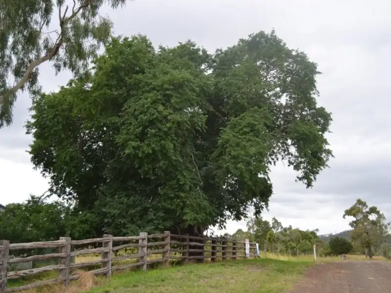 Main view of Homely rural property listing, 367 Benedict Road, Stanwell QLD 4702