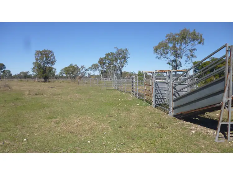 Seventh view of Homely rural property listing, 169, LOT 169 Port Curtis Road, Port Curtis QLD 4700