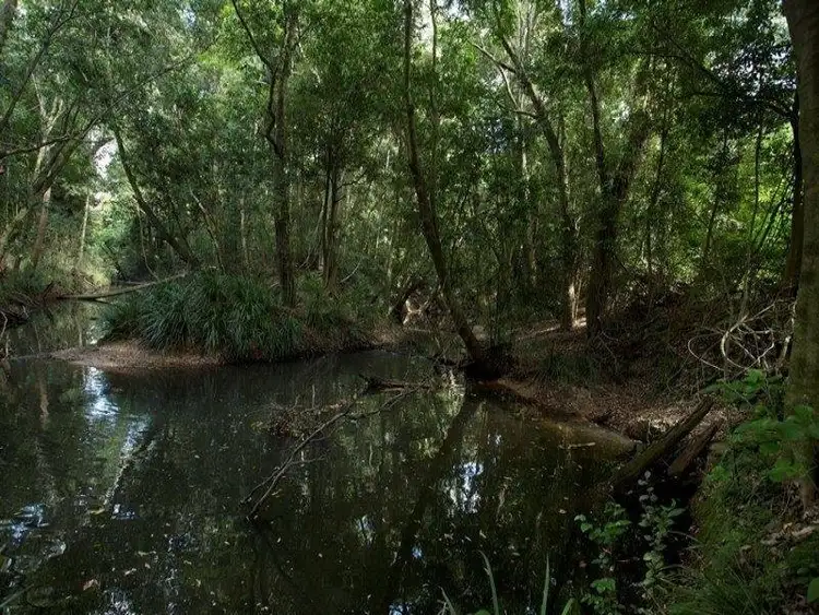 Fourth view of Homely land listing, 582 Gympie-Kin Kin Road, Kin Kin QLD 4571