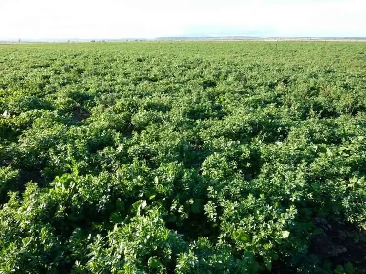 Fourth view of Homely rural property listing, 71 Smith Road, Clifton QLD 4361