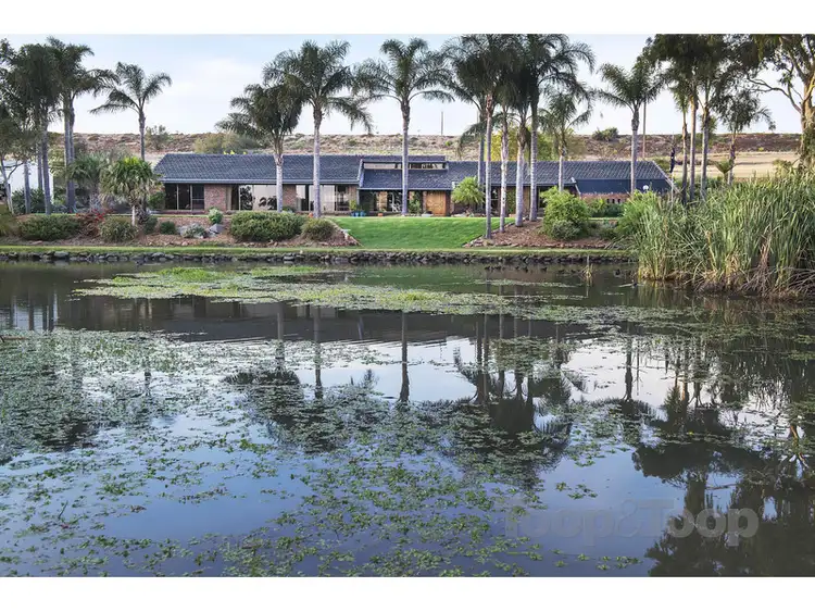 Third view of Homely rural property listing, 1193 Jervois Road, White Sands SA 5253