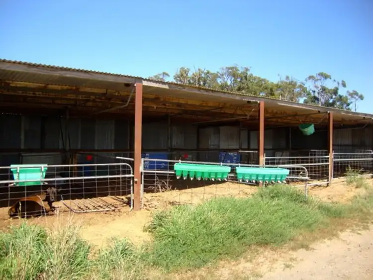 Fourth view of Homely rural property listing, 294 N Robilliards Road, Timboon VIC 3268