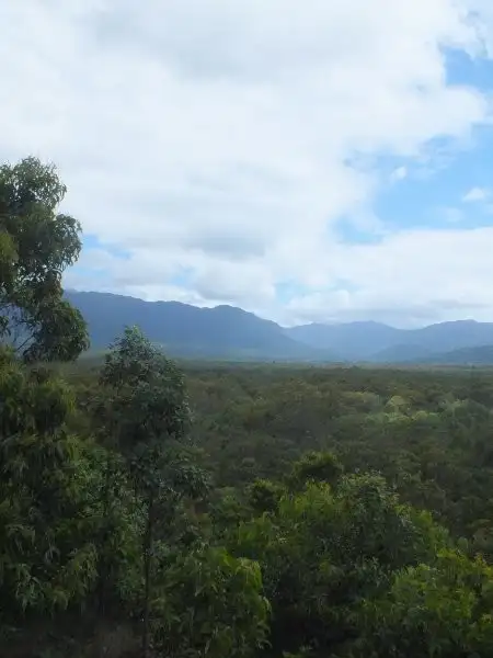Fifth view of Homely land listing, Lot 1 Dowling Road, Bloomfield QLD 4895