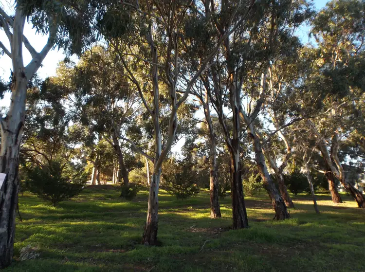 Fifth view of Homely rural property listing, 151 Culley Road, Sellicks Hill SA 5174