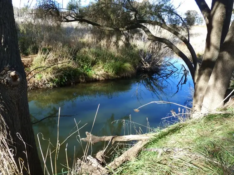 Second view of Homely house listing, 21 Merga Street, Cudal NSW 2864