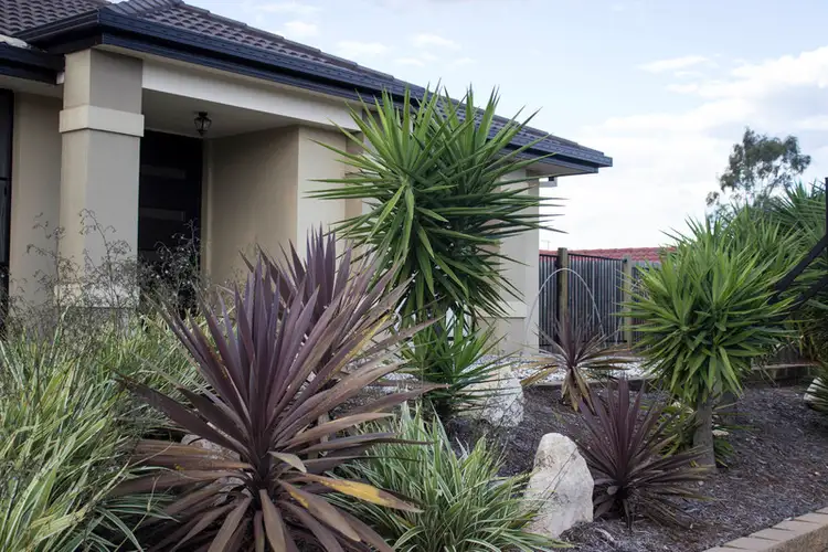 Third view of Homely house listing, 95 Ormeau Ridge Road, Ormeau Hills QLD 4208