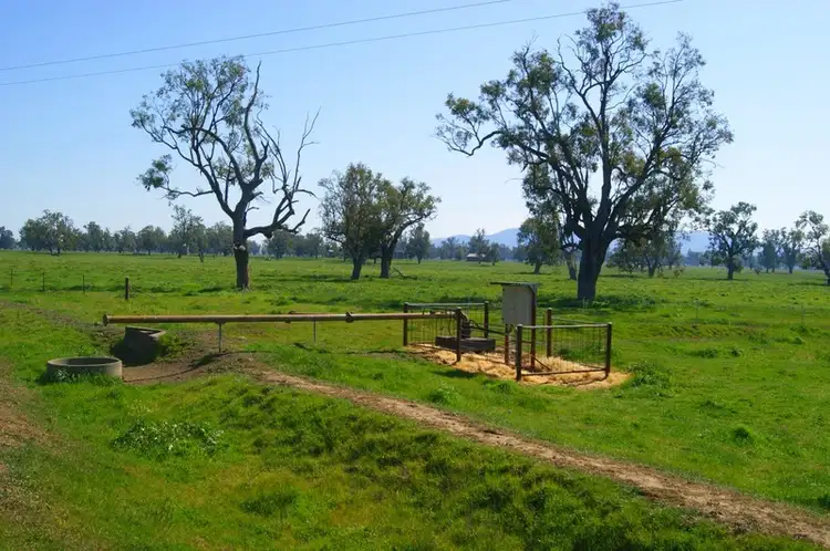 Seventh view of Homely rural property listing, Orange Grove Road, Gunnedah NSW 2380