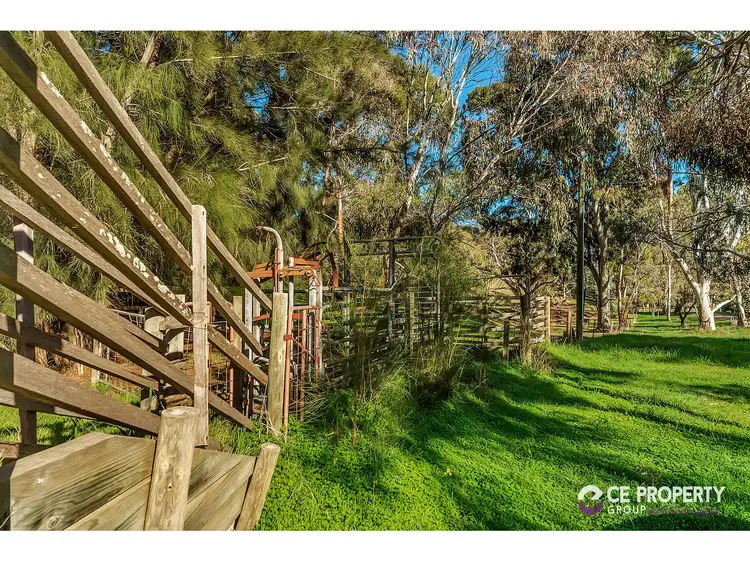 Third view of Homely house listing, 133 Goulds Creek Road, One Tree Hill SA 5114