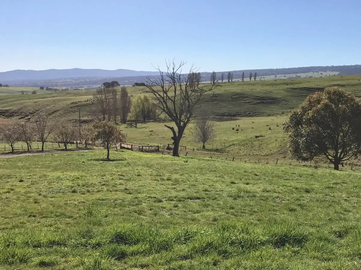 Main view of Homely rural property listing, 564 Soldiers Road, Barwite VIC 3722