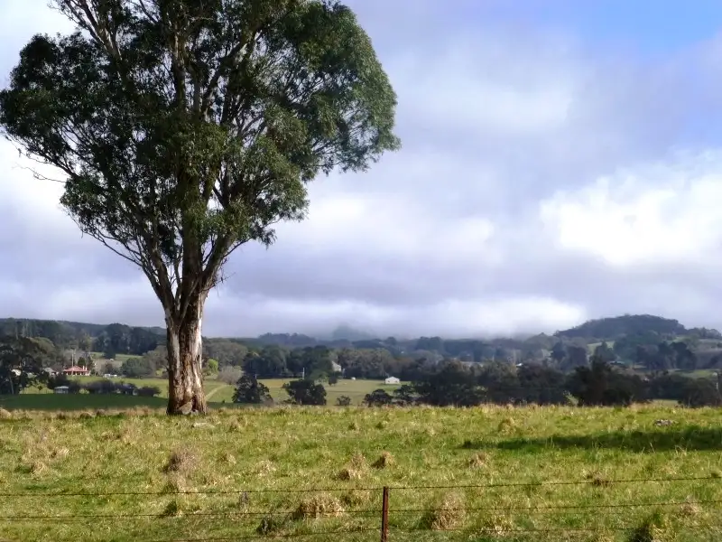 Main view of Homely rural property listing, 1083 Forest Road, Orange NSW 2800