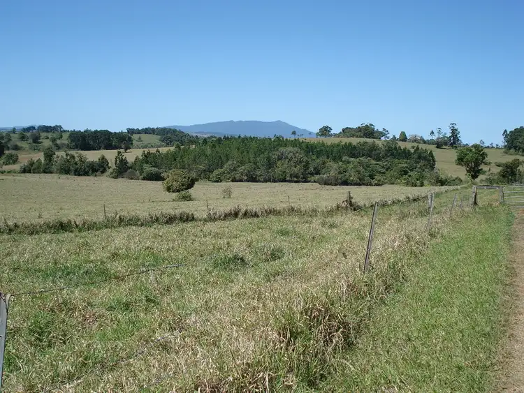 Fifth view of Homely rural property listing, F1176 / 1912 Millaa - Malanda Road, Malanda QLD 4885