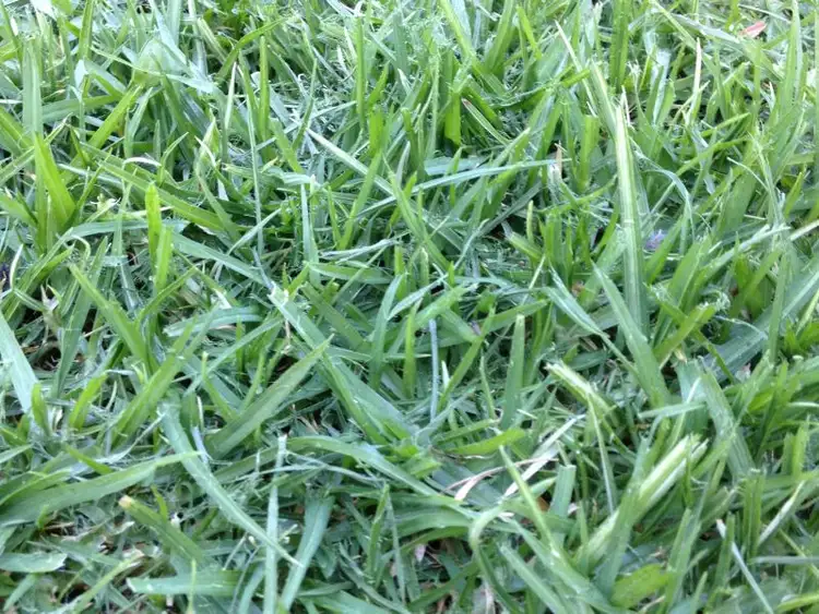 LOT 644 Asteria Crescent, Cranbourne West VIC 3977