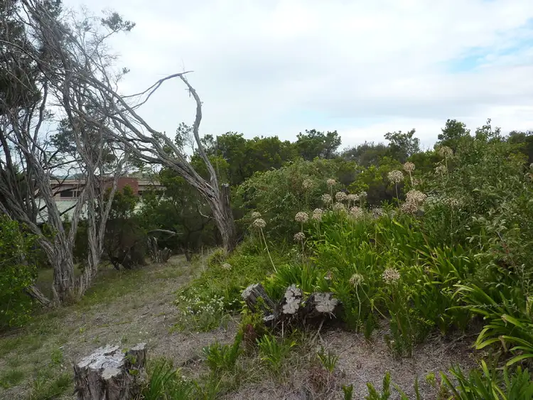 Second view of Homely land listing, 35 Wilson Road, Blairgowrie VIC 3942