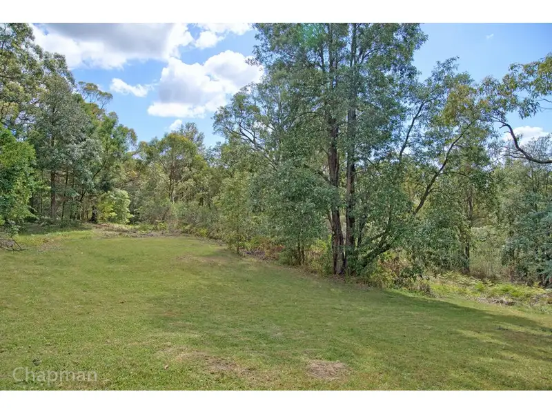 Main view of Homely house listing, 19 Torwood Street, Warrimoo NSW 2774