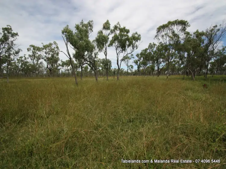 Fifth view of Homely rural property listing, S1023 708 Braund Road, Mutchilba QLD 4872