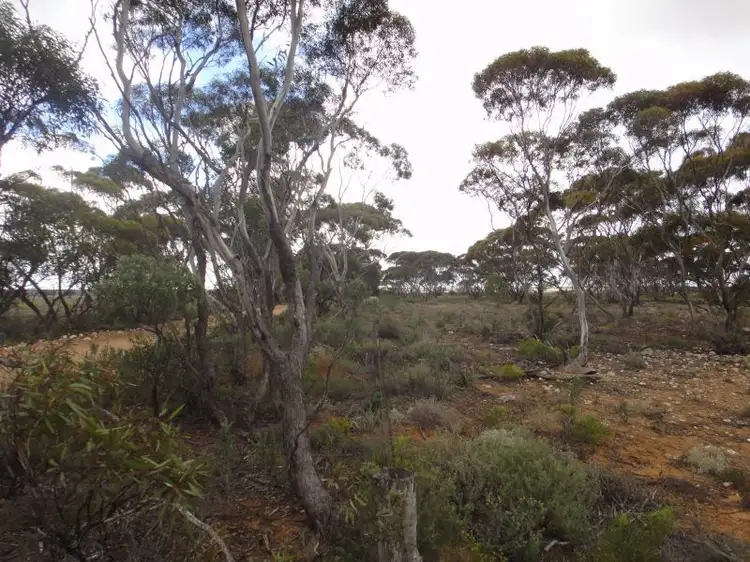 Main view of Homely rural property listing, Section 178 Halfway House Road, Sedan SA 5353