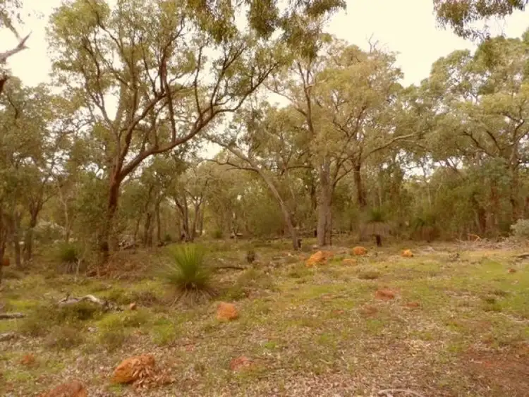 Fourth view of Homely land listing, Lot 304 Leschenaultia Drive, Chittering WA 6084