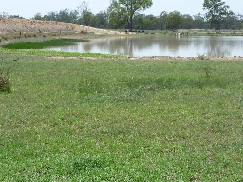 Main view of Homely rural property listing, Lot 2078 Rosenthal-Boundary Road, Clifton QLD 4361