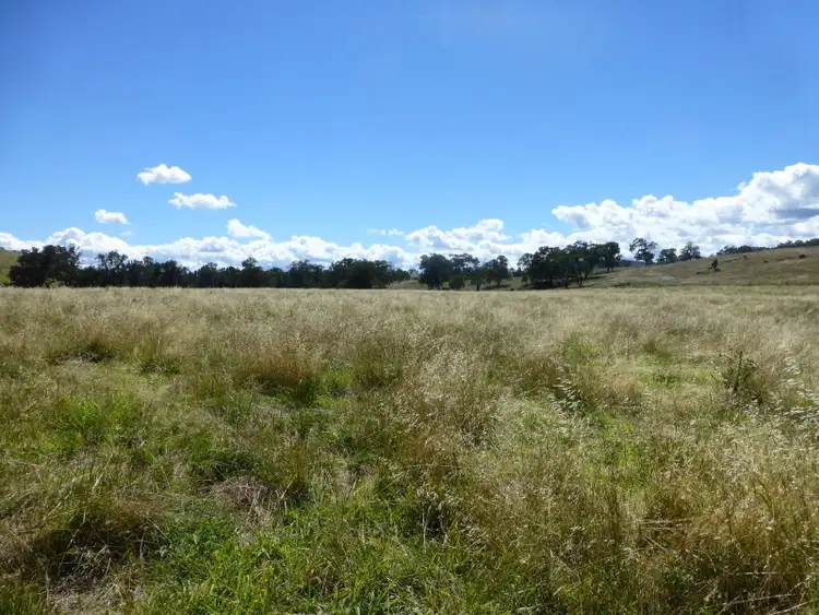 Third view of Homely rural property listing, - Bowan Park Road, Orange NSW 2800