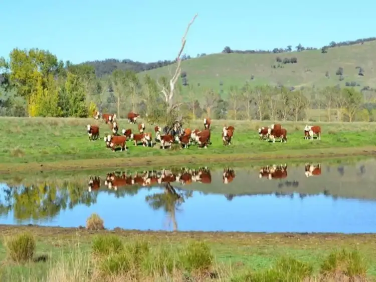 Sixth view of Homely land listing, 245 Wairere Road, Mansfield VIC 3722